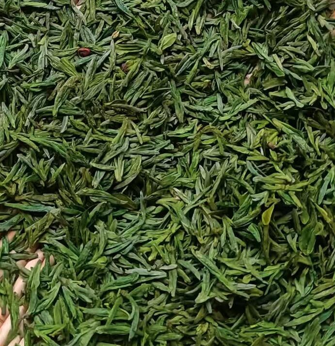 3.25头茶1.jpg