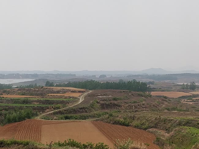 国家储备林设计工程